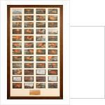 A Collection of Forty Eight Views of Volcanic Eruptions by Italian School