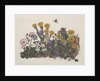 Purple and White Violets, Daisy, Celandine and Forget-me-not by Ursula Hodgson