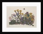 Purple and White Violets, Daisy, Celandine and Forget-me-not by Ursula Hodgson