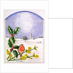 The Robin by Ursula Hodgson