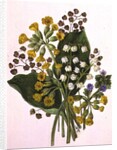 Lily of the Valley and Cowslips by Ursula Hodgson