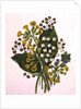 Lily of the Valley and Cowslips by Ursula Hodgson