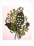 Lily of the Valley and Cowslips by Ursula Hodgson