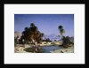 Leon-Adolphe Belly the caravan in the desert oasis by Leon-Auguste-Adolphe Belly