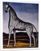 Giraffe by Niko Pirosmani