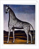 Giraffe by Niko Pirosmani