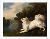 Spaniel belonging to painter Cosway chasing a butterfly, 1775 by George Stubbs