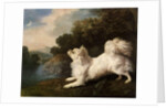 Spaniel belonging to painter Cosway chasing a butterfly, 1775 by George Stubbs