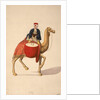 Kettle Drummer, Ottoman period, 1789 by French School