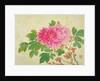 Painting of Peonies by Yu Jiang