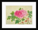 Painting of Peonies by Yu Jiang