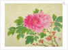 Painting of Peonies by Yu Jiang