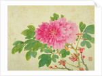 Painting of Peonies by Yu Jiang