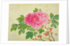 Painting of Peonies by Yu Jiang