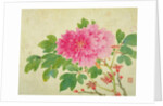 Painting of Peonies by Yu Jiang