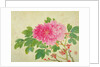 Painting of Peonies by Yu Jiang