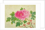 Painting of Peonies by Yu Jiang