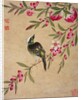 One of a series of paintings of birds and fruit, late 19th century by Guochen Wang
