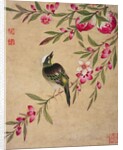 One of a series of paintings of birds and fruit, late 19th century by Guochen Wang