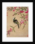 One of a series of paintings of birds and fruit, late 19th century by Guochen Wang