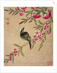 One of a series of paintings of birds and fruit, late 19th century by Guochen Wang