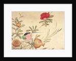 One of a series of paintings of birds and fruit, late 19th century by Guochen Wang