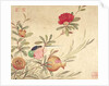 One of a series of paintings of birds and fruit, late 19th century by Guochen Wang