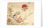 One of a series of paintings of birds and fruit, late 19th century by Guochen Wang