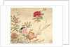 One of a series of paintings of birds and fruit, late 19th century by Guochen Wang