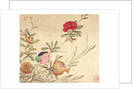One of a series of paintings of birds and fruit, late 19th century by Guochen Wang