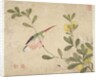 One of a series of paintings of birds and fruit, late 19th century by Guochen Wang