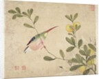 One of a series of paintings of birds and fruit, late 19th century by Guochen Wang