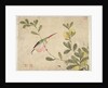One of a series of paintings of birds and fruit, late 19th century by Guochen Wang