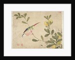 One of a series of paintings of birds and fruit, late 19th century by Guochen Wang