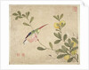 One of a series of paintings of birds and fruit, late 19th century by Guochen Wang