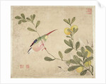 One of a series of paintings of birds and fruit, late 19th century by Guochen Wang