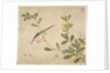One of a series of paintings of birds and fruit, late 19th century by Guochen Wang
