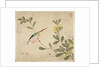 One of a series of paintings of birds and fruit, late 19th century by Guochen Wang
