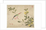One of a series of paintings of birds and fruit, late 19th century by Guochen Wang