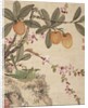 One of a series of paintings of birds and fruit, late 19th century by Guochen Wang