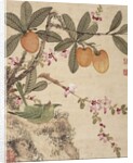 One of a series of paintings of birds and fruit, late 19th century by Guochen Wang