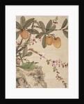 One of a series of paintings of birds and fruit, late 19th century by Guochen Wang