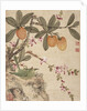 One of a series of paintings of birds and fruit, late 19th century by Guochen Wang