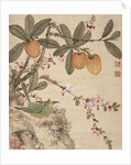One of a series of paintings of birds and fruit, late 19th century by Guochen Wang