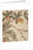 One of a series of paintings of birds and fruit, late 19th century by Guochen Wang