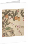 One of a series of paintings of birds and fruit, late 19th century by Guochen Wang