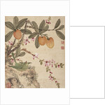 One of a series of paintings of birds and fruit, late 19th century by Guochen Wang