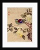 One of series of paintings of birds and fruit, late 19th century by Guochen Wang