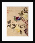 One of series of paintings of birds and fruit, late 19th century by Guochen Wang