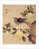 One of series of paintings of birds and fruit, late 19th century by Guochen Wang